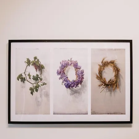 Apartamento King George By Binobi! *